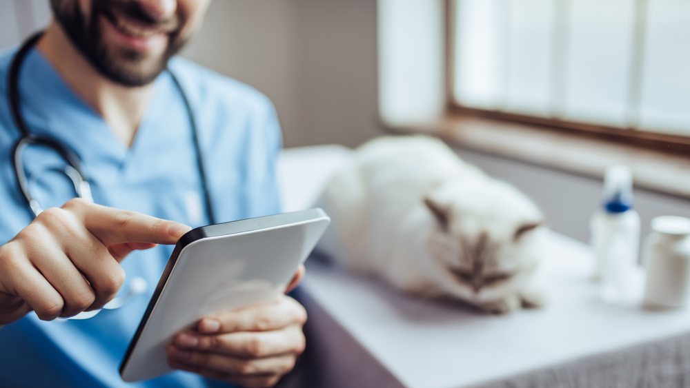 Vet Cloud Software vs. Server-Based PIMS