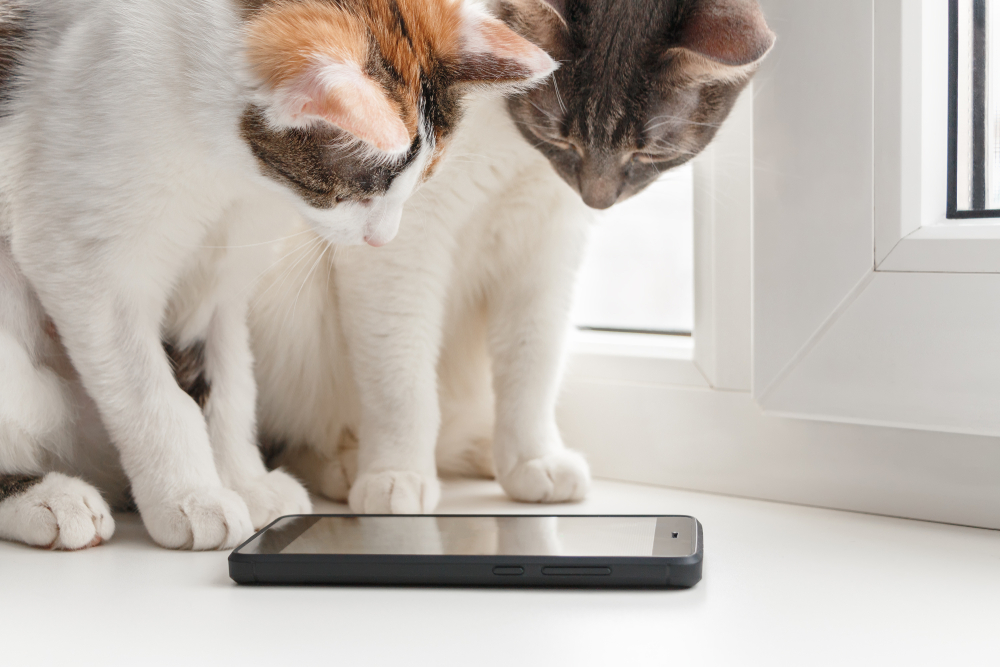 best veterinary apps
