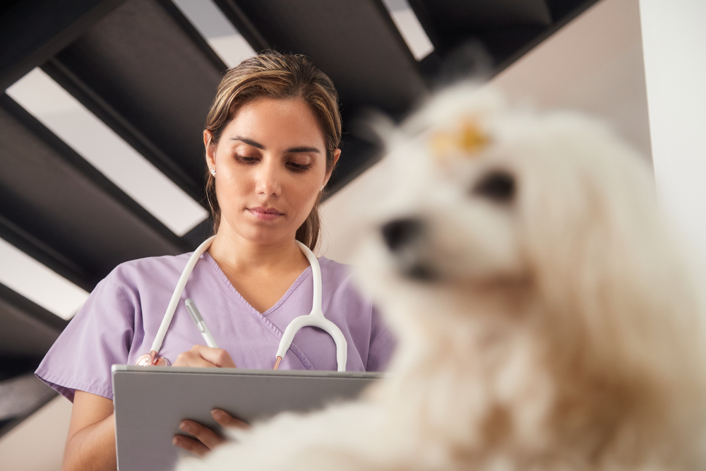best veterinary apps