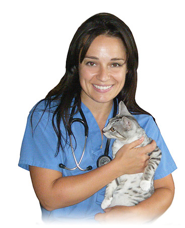 Dr. Laura Palumbo