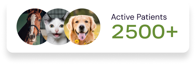 2,500+ patients