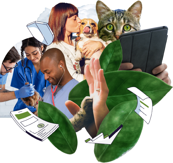 Image representing DaySmart Vet
