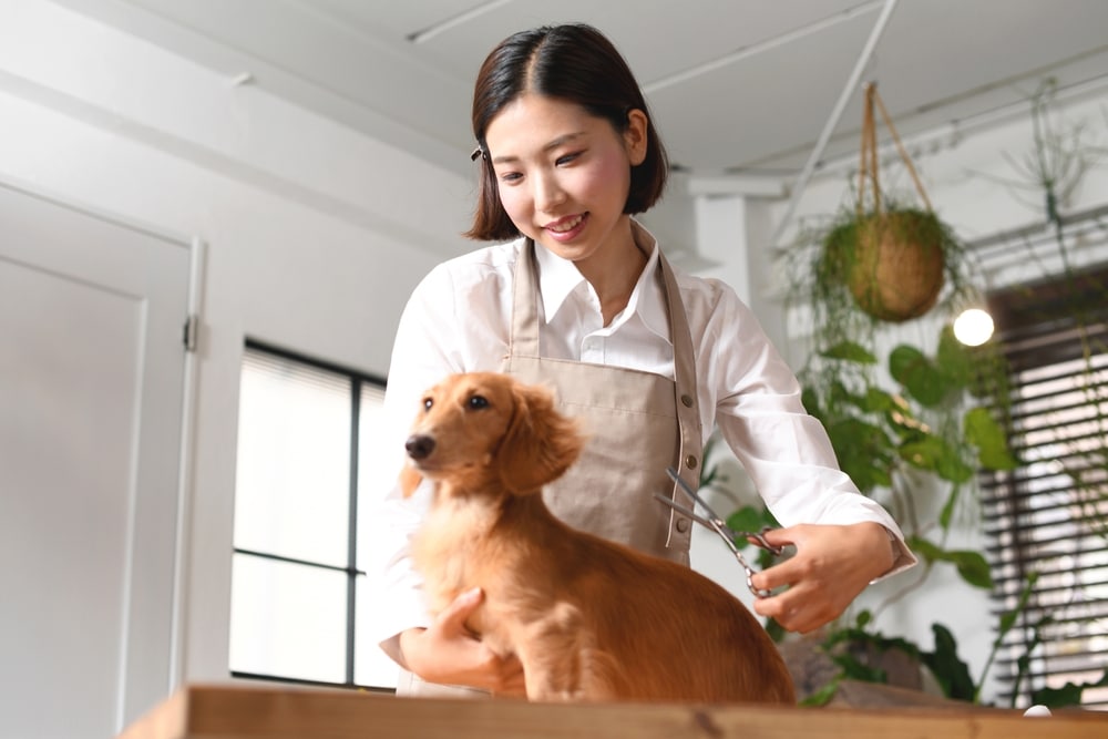 Best POS for Small Business